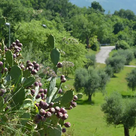 San Michele 3* Costermano